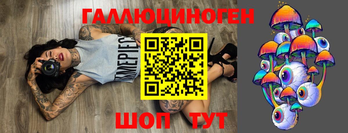 Кувандык  Псилоцибиновые грибы Cubensis  Вход с VPN  Галлюциногенные грибы Psilocybe 